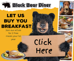 Black Bear Diner logo