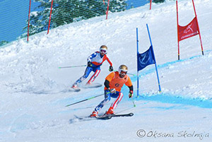 Image 2-1